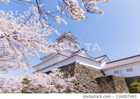 日本賞櫻勝地百選：福島鶴雅城（會津若松城） 116007463