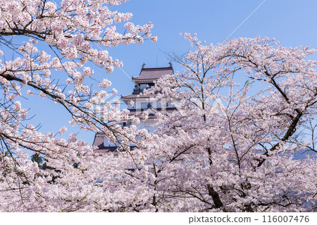 日本賞櫻勝地百選：福島鶴雅城（會津若松城） 116007476