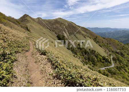 Iyo Fuji (Ehime Prefecture Ishizuyama system) 116007733
