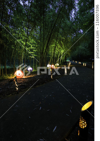 Illuminated path at night (vertical) Illuminated path at night (vertical) 116007896