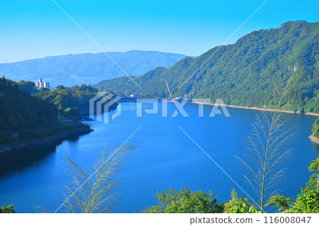 赤谷湖風景區猿京溫泉新綠季節 116008047
