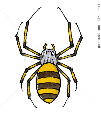 一隻快樂的蜘蛛 116008231