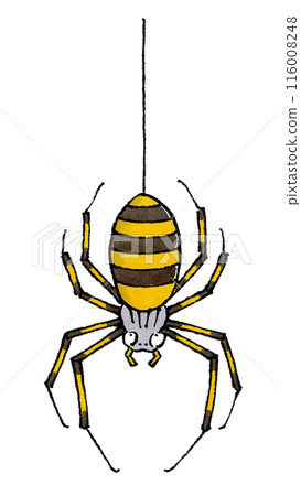 A spider hanging from a thread A spider hanging from a thread 116008248