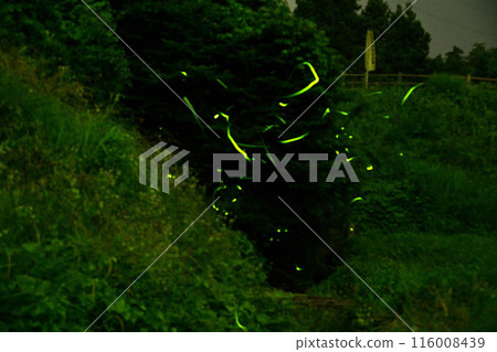 Minakami Firefly Village Minakami Firefly Village 116008439