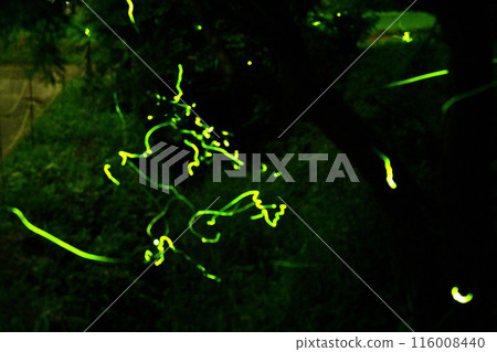 Minakami Firefly Village 116008440