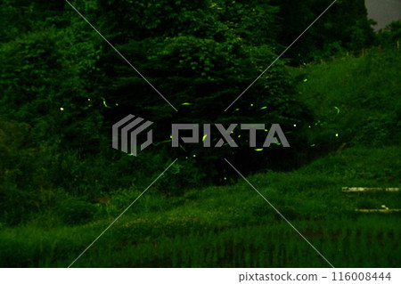 Minakami Firefly Village 116008444