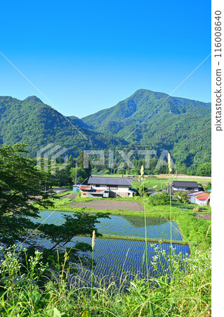 Along National Route 17, rural scenery near Sarugakyo Onsen, the season of fresh greenery 116008640