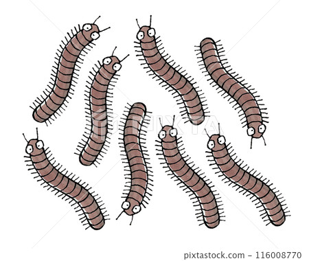 一群千足蟲 116008770