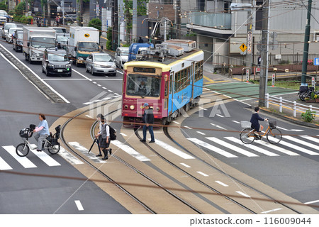 Toden Sakura Tram running through the intersection in front of Asukayama Park 116009044