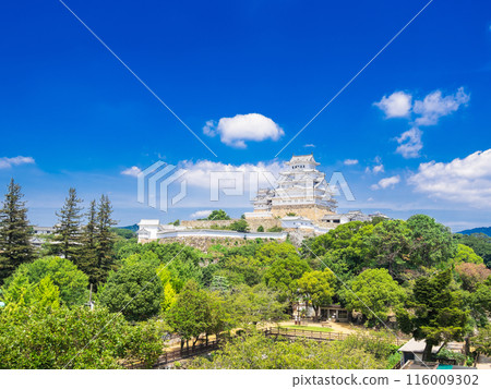 世界遺產姬路城堡 116009302