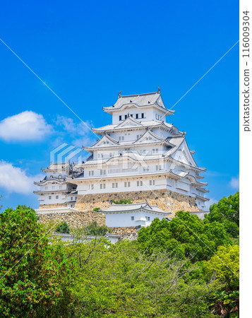 World Heritage Himeji Castle 116009304