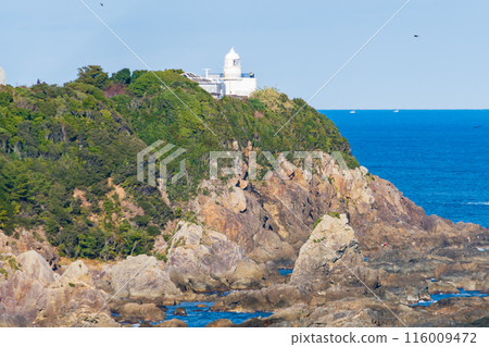 站立在懸崖的燈塔 116009472