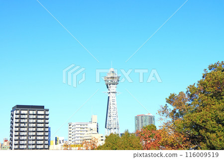 大阪府大阪市通天閣風景 大阪府大阪市通天閣風景 116009519