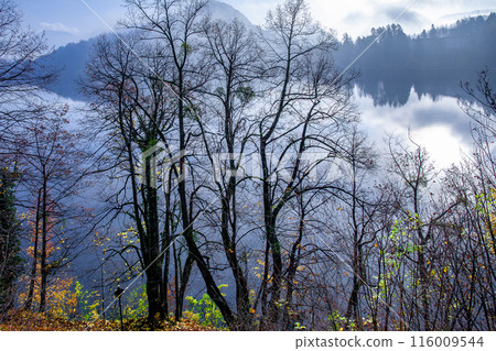 布萊德湖 116009544