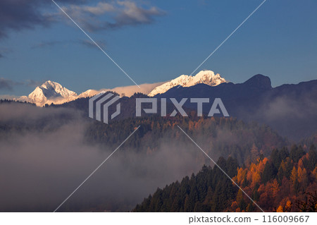 Lake Bled Lake Bled 116009667