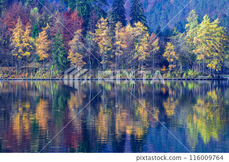 Lake Bled Lake Bled 116009764