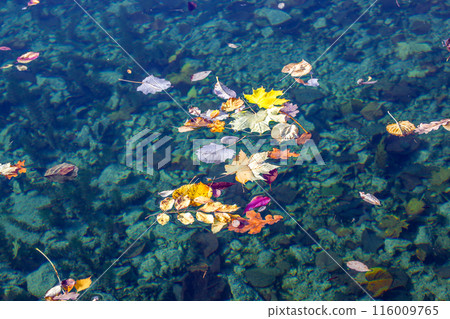 布萊德湖 116009765