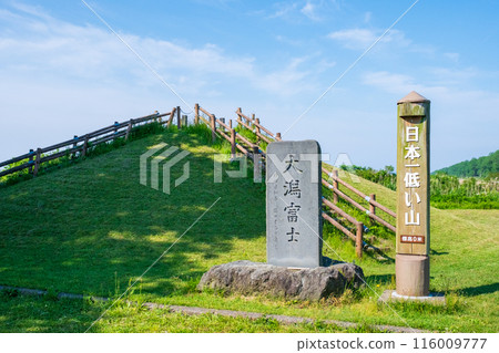 緒方富士 116009777