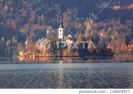 Lake Bled Lake Bled 116009957