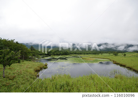 寂靜多雲的知床 116010096