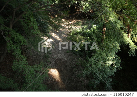 Kawagoe Kitain 116010247