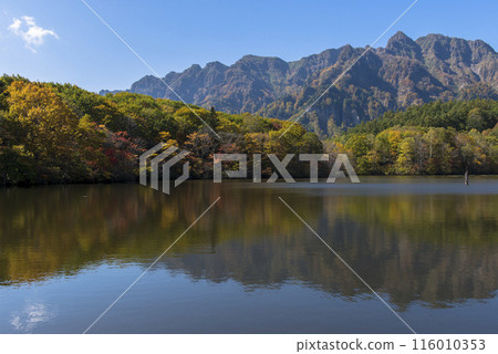 Yellow leaves on Kagami pond 116010353