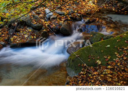 A mountain stream on the hiking trail between Karatoge and Shinchihei in Okuchichibu A mountain stream on the hiking trail between Karatoge and Shinchihei in Okuchichibu 116010821