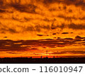 June Sunset 116010947