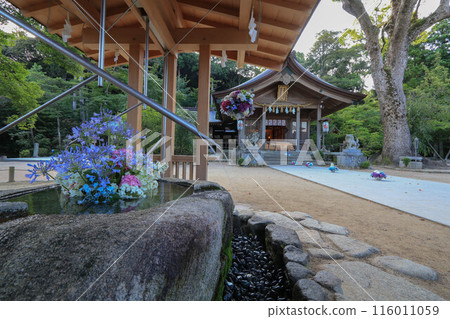 Hydrangea decoration at Kamado Shrine 116011059