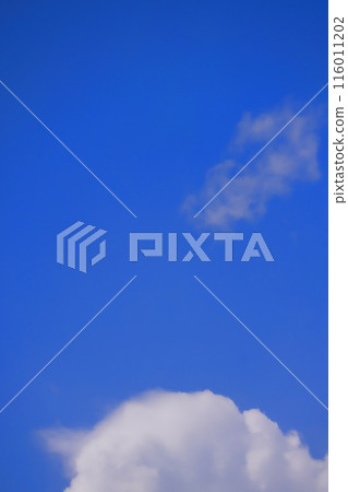 Blue sky with clouds (background material) 116011202