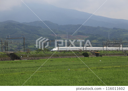 新幹線和稻田 116011602