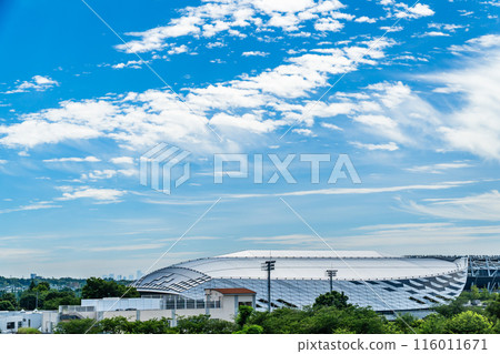 Musashino Forest Sport Plaza seen from the hill Musashino Forest Sport Plaza seen from the hill 116011671