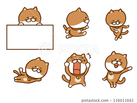 一隻可愛的棕色貓做奇怪姿勢的人物插圖 116011681