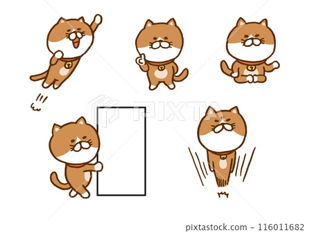 一隻可愛的棕色貓做奇怪姿勢的人物插圖 116011682