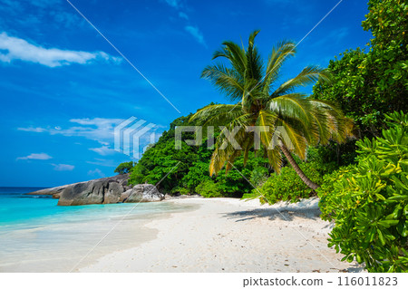 Beautiful view with blue sky and clouds, blue sea and white sand beach on Similan island, No.8 at Similan national park, Phuket, Thailand is most popular vacation for tourist. 116011823
