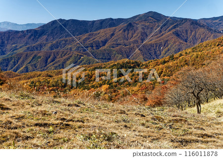 Autumn leaves in Okuchichibu, Mt. Kurogane and Mt. Kentoku seen from Karatoge Pass 116011878