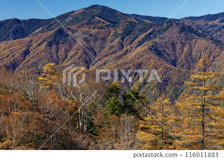 Autumn foliage of Mt. Kurogane seen from near Karatoge Pass in Okuchichibu Autumn foliage of Mt. Kurogane seen from near Karatoge Pass in Okuchichibu 116011883