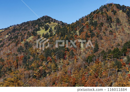 Autumn foliage of Okuchichibu, Mt. Tsubame and Mt. Koreyama seen from Karatoge Pass 116011884