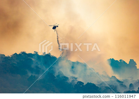 Fire fighting helicopter carry water bucket to extinguish the forest fire. 116011947