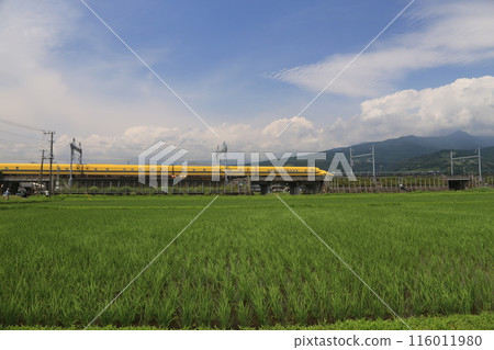 Doctor Yellow and rice fields 116011980