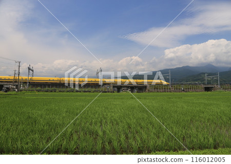 Doctor Yellow and rice fields Doctor Yellow and rice fields 116012005