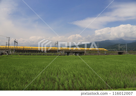 Doctor Yellow and rice fields Doctor Yellow and rice fields 116012007