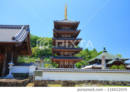 [Kagawa Prefecture] The five-story pagoda of Honenji Temple on a clear day (Busshozan) 116012034