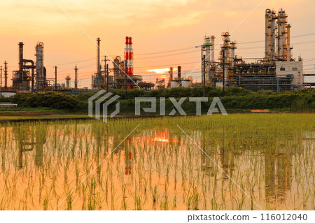 [Ehime Prefecture] Symmetrical evening view of the Taiyo Petrochemical Complex 116012040