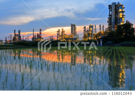 [Ehime Prefecture] Symmetrical evening view of the Taiyo Petrochemical Complex 116012043