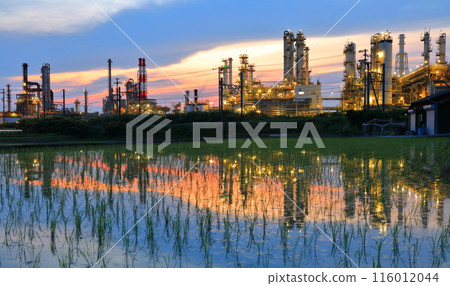 [愛媛郡]太陽油集團的對稱日落景觀 116012044