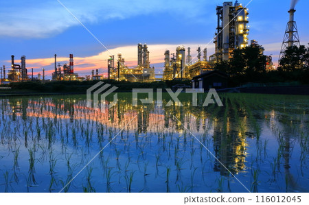 [愛媛郡]太陽油集團的對稱日落景觀 116012045