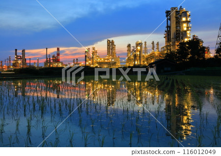 [愛媛郡]太陽油集團的對稱日落景觀 116012049