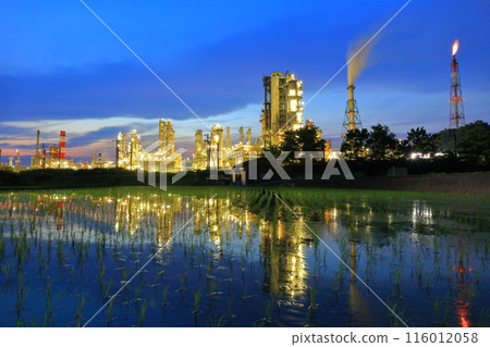 [Ehime Prefecture] Symmetrical night view of the Taiyo Petrochemical Complex 116012058