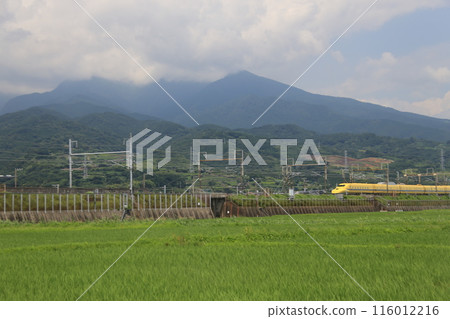Doctor Yellow and rice fields 116012216
